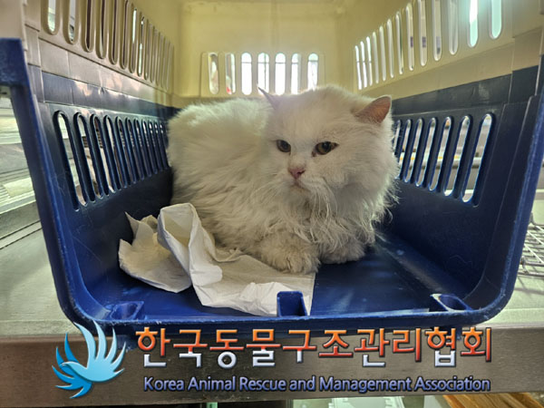 한국동물구조관리협회_441406202301858